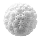 Tenga Geo Coral Masturbators and Strokers